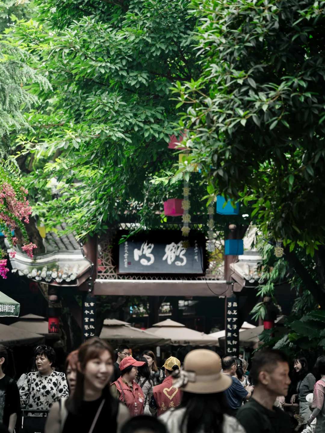 Custom Sichuan Tour gallery photo 2