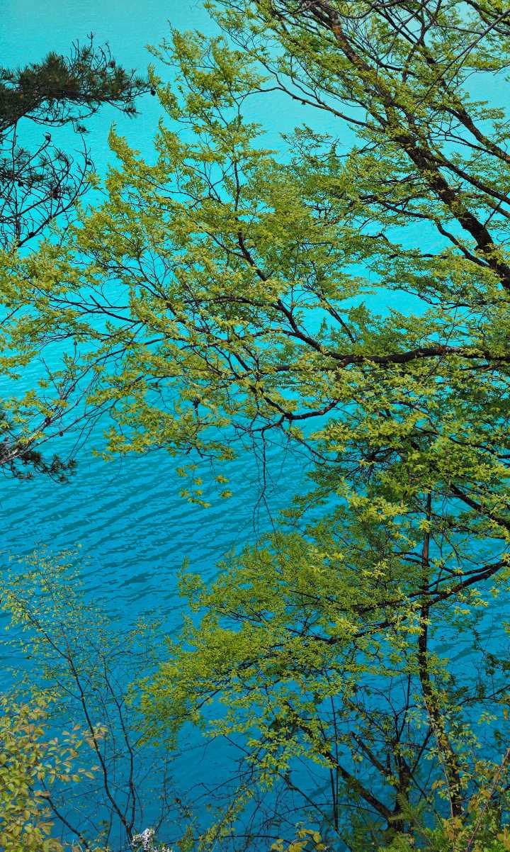 Jiuzhaigou Full Day