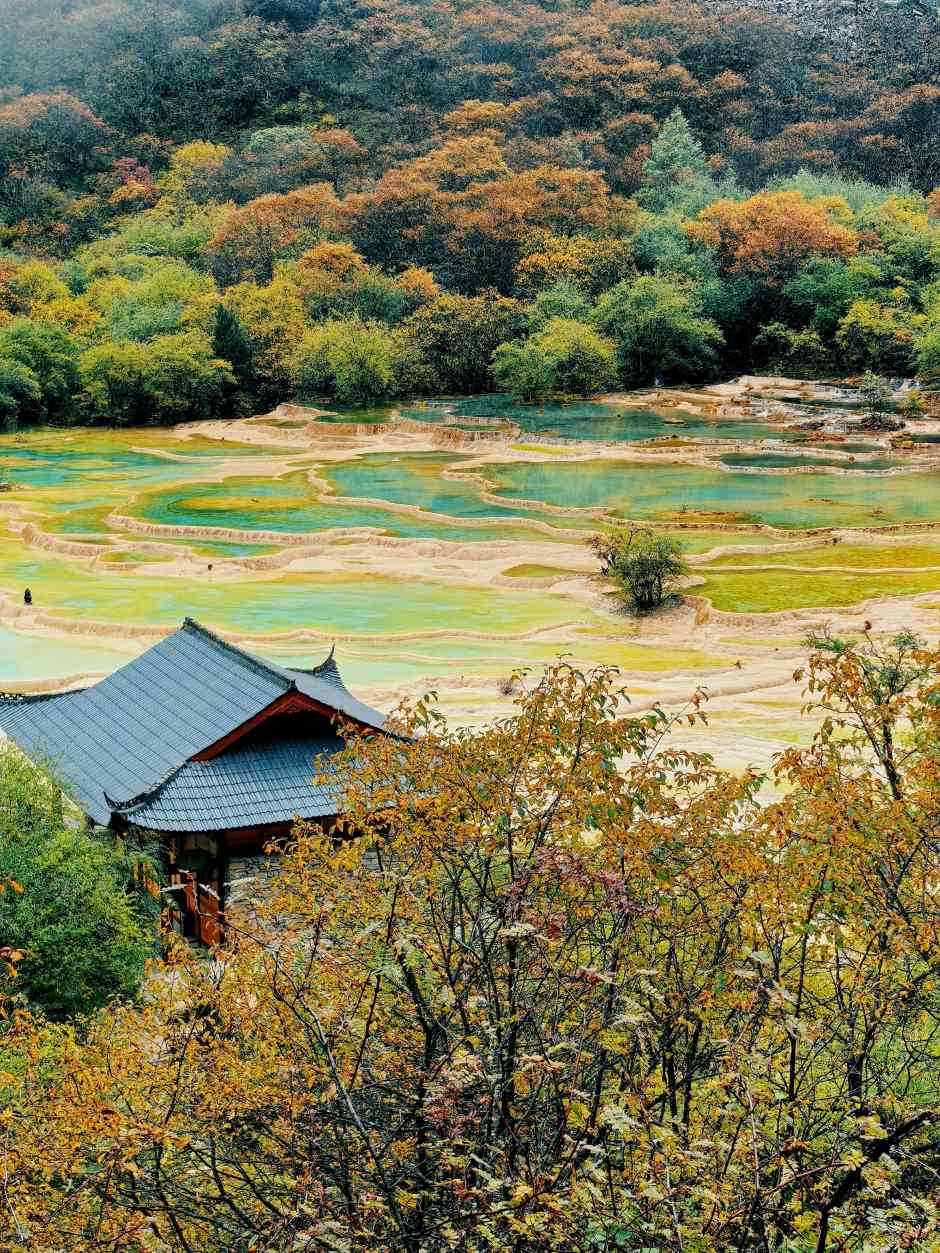 Natural Sichuan Five-Day Tour gallery photo 2