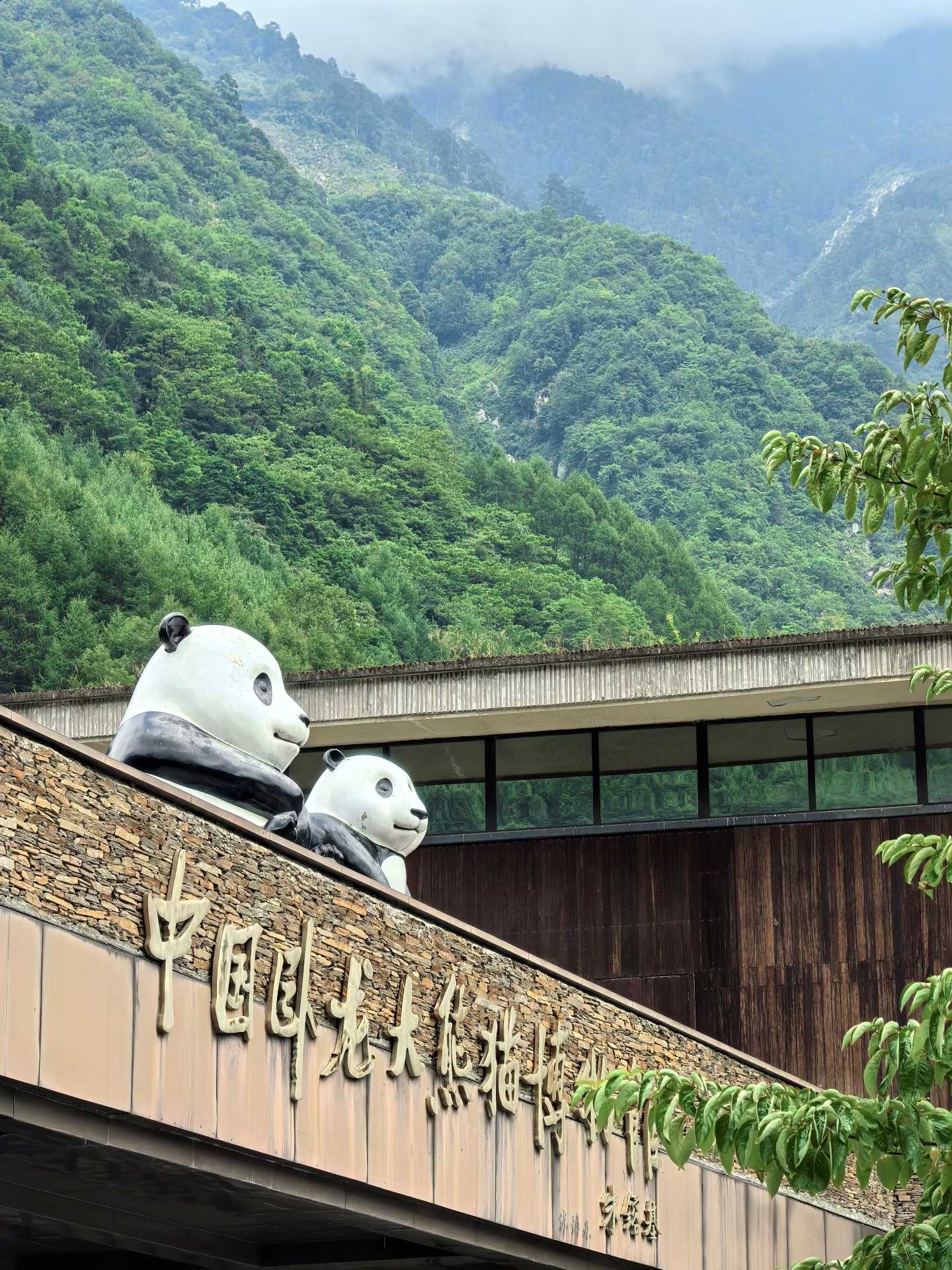Wolong Volunteer Day