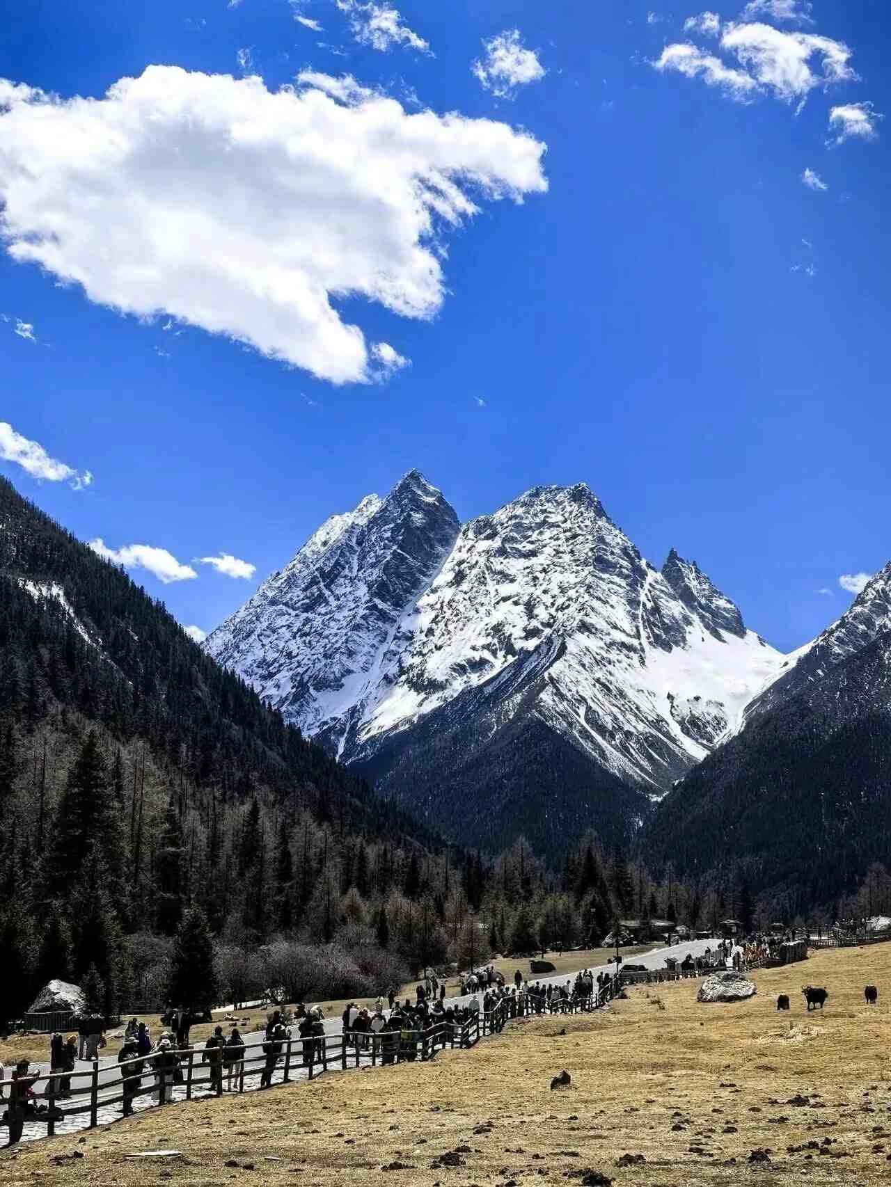 Bipenggou Alpine Secret Realm